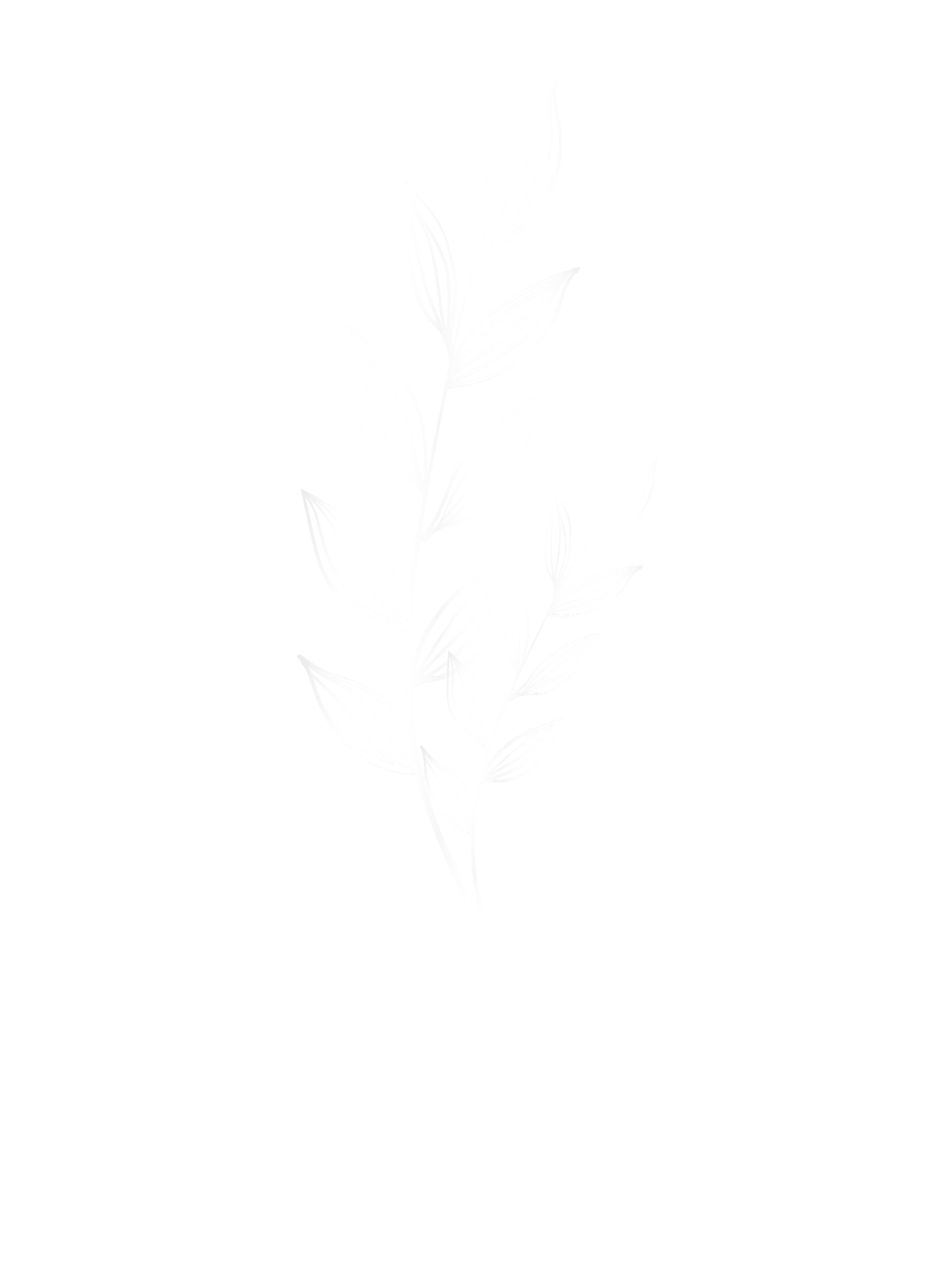 Danna Decor & Aromas